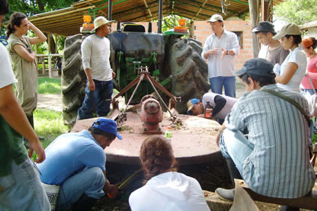 Durante más de un siglo la formación se ha volcado a resolver los problemas del campo colombiano. Foto: cortesía Oficina de Comunicaciones Facultad de Ciencias Agrarias.