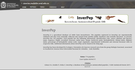 InverPep es una base de datos especializada, curada y verificada manualmente con cerca de 780 péptidos antimicrobianos descritos en la literatura científica.