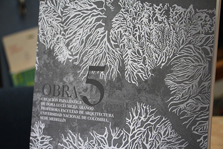 Obra 5 es un homenaje a  la artista Dora Mejía.