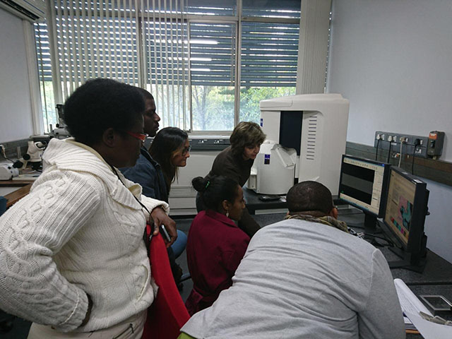 Instalaciones División Mineralogía Mintek. Demostración SEM (Scanning electron microscopy)
