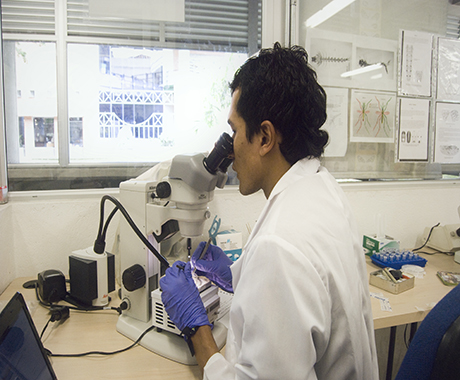 En Colombia ha tomado fuerza la investigación en biotecnología.