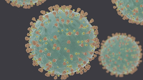 El virus SARS-CoV-2 causa la covid-19. Foto: tomada de bit.ly/2Q1qXYo