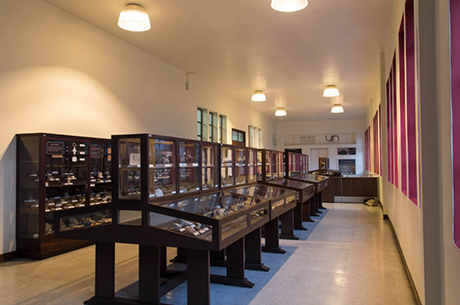 El Museo de Geociencias está ubicado en el segundo piso del Bloque M3 en el Campus Robledo. Foto: Oficina de Comunicaciones Facultad de Minas.