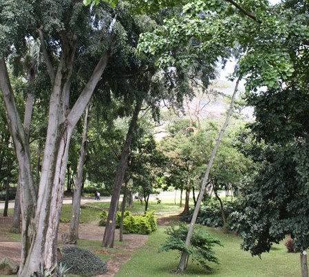 La UNAL Medellín hace parte de la alianza interinstitucional para la conservación de los bosques y la mitigación del cambio climático.