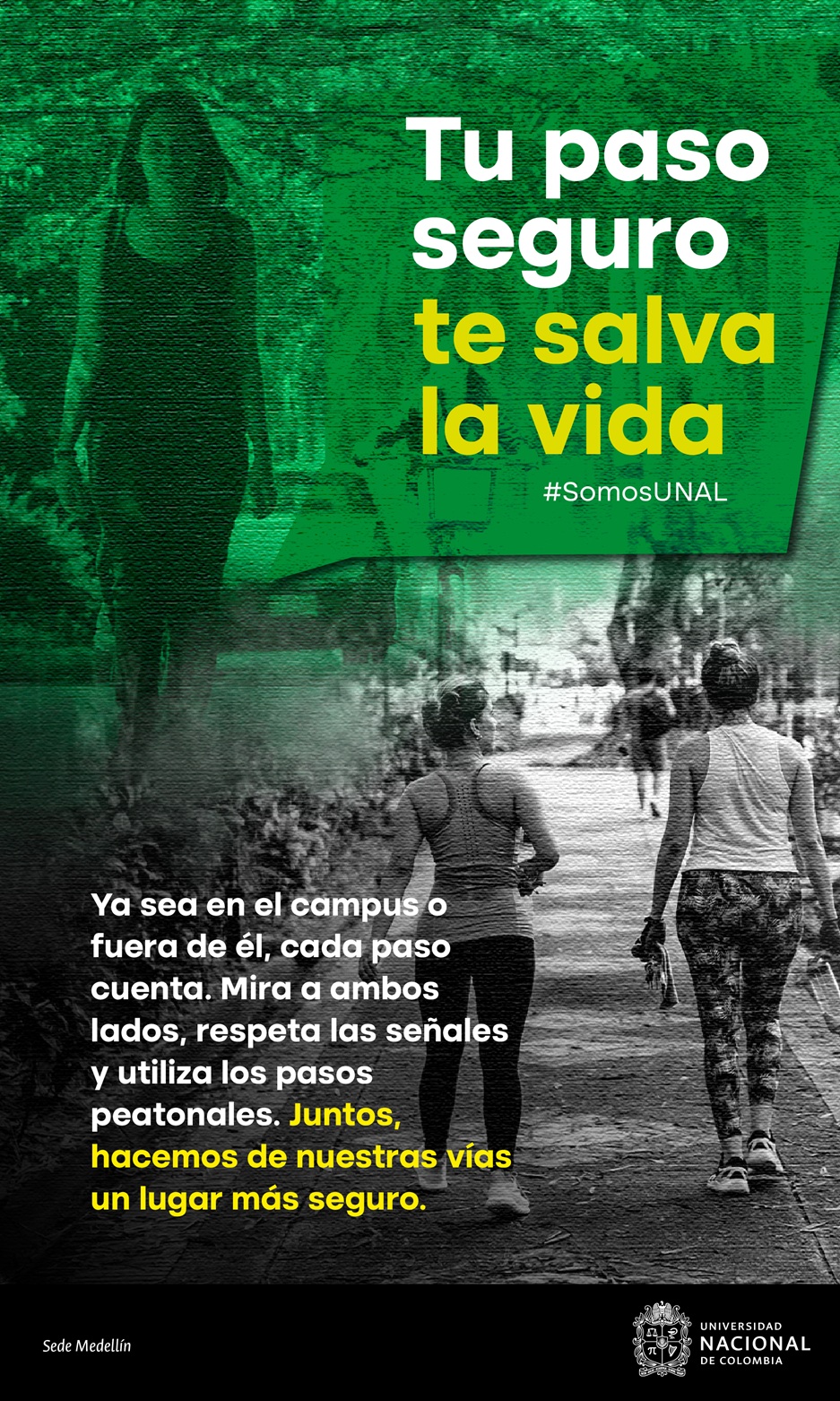Campaña de seguridad vial 4