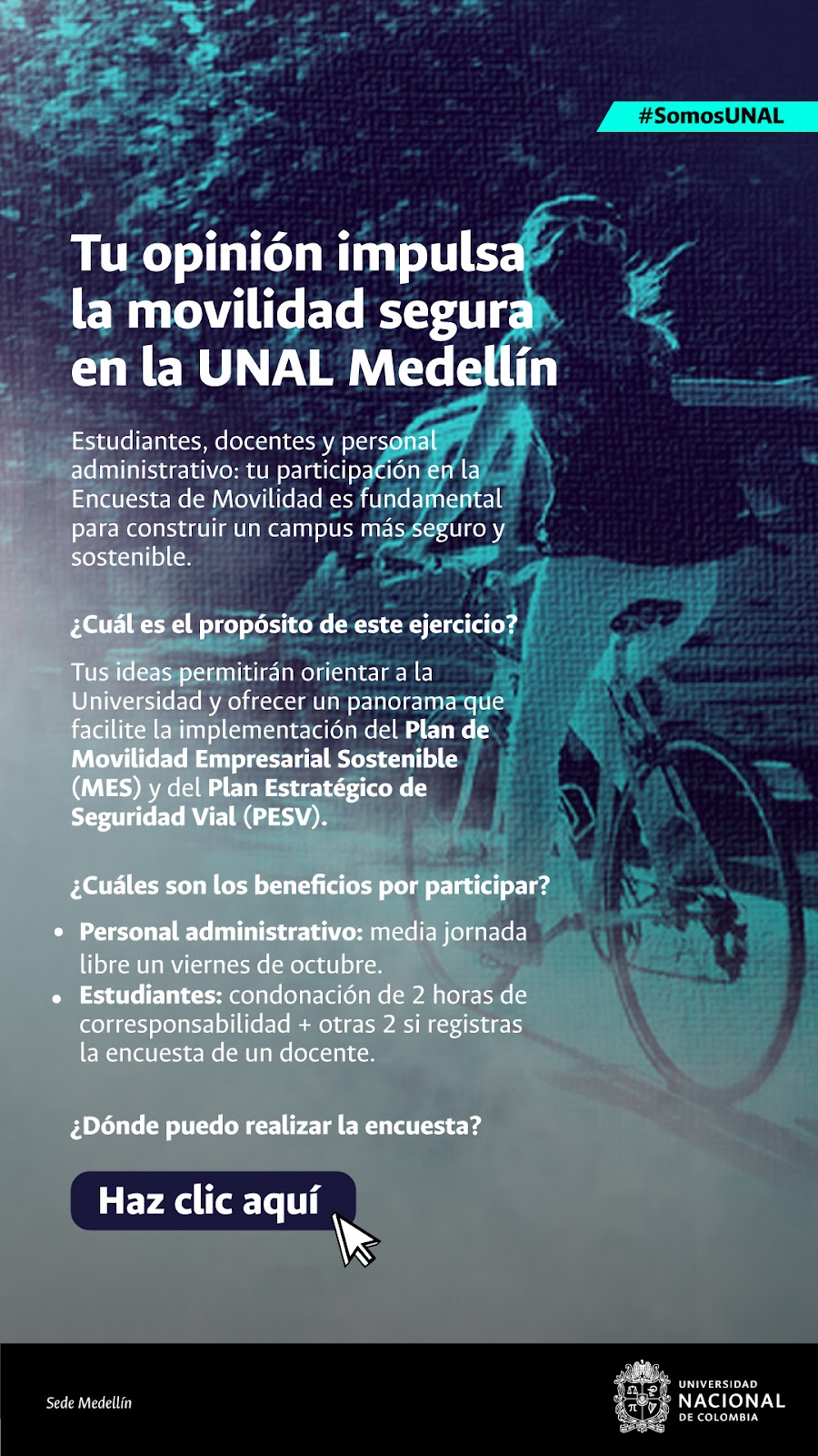 Campaña de seguridad vial 1