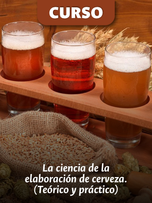 Cerveza