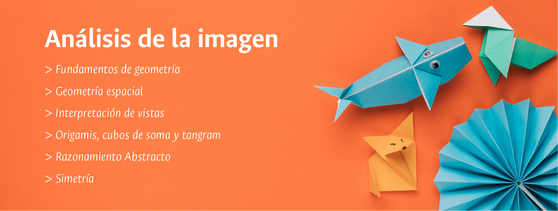 Analisis imagen