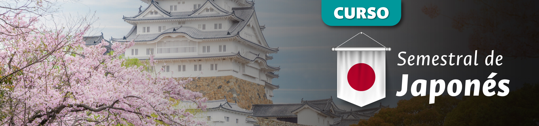 Bnnr Sem Japones