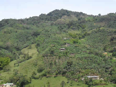 Finca La Mesa en Jardín, Antioquia. Foto cortesía.