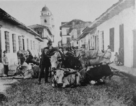 Plaza de mercado, sector Guayaquil, en 1894. Cortesía Archivo Fotográfico Biblioteca Pública Piloto.