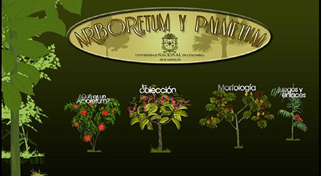 Con el inventario forestal se contribuye a la actualización de información sobre la colección biológica de Arboretum y Palmetum León Morales Soto.