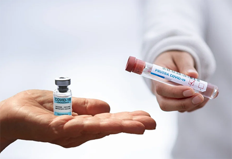 Con la vacunación se espera un efecto de inmunidad de rebaño. Foto: tomada de Pixabay.com