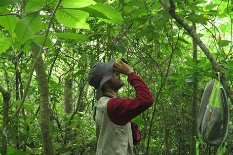 El programa de Ingeniería Forestal de la UNAL es pionero en el país. Foto: cortesía profesora María Claudia Díez Gómez.