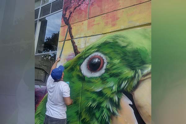 Santiago Cuervo Ortega incursionó en el muralismo y el grafiti hace tres años. Hoy su obra "El Periquito bronceado" puede apreciarse en el bloque 16 del Campus El Volador Foto: Unimedios.