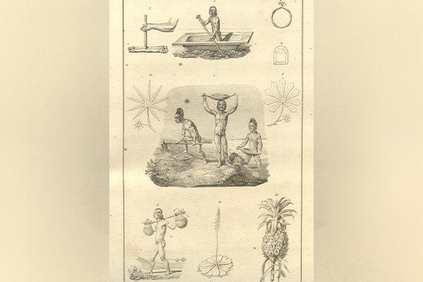 Gonzalo Fernández de Oviedo, “Lámina 2”, Historia general y natural de las Indias, islas y tierra firme del mar océano, 1851. Tomada de: https://n9.cl/hur1o