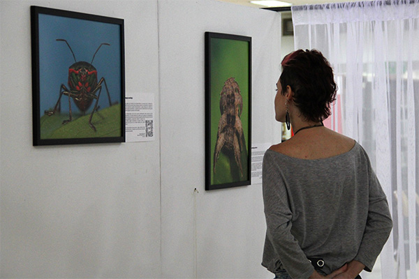 La exposición está conformada por 15 fotografías. Foto: Unimedios.