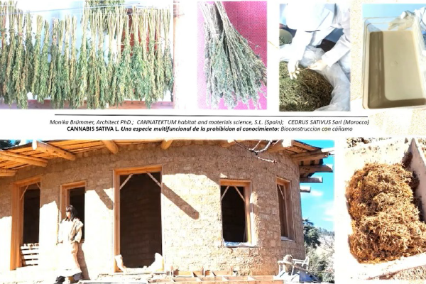 Con bloques de cáñamo se construyen viviendas en Marruecos. Fotos de Monika Brünner.