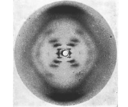 La foto 51 es la primera imagen del ADN, punto de partida para el estudio del nanomundo de las proteínas. Fotografía tomada de: https://www.muyinteresante.es/ciencia/preguntas-respuestas/que-es-la-famosa-fotografia-51-961440497430
