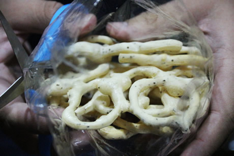 Asistentes a la Cátedra degustaron panelitas y rosquillas de queso hechas con termitas y excretas de gusano de maní.