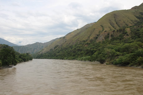 En Antioquia el bosque seco tropical se distribuye en el Cañón del río Cauca entre los municipios de Toledo e Ituango y en límites con el departamento de Caldas.