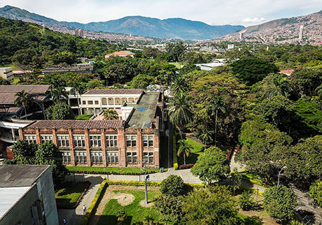 Los campus de la UNAL Medellín son considerados como el segundo pulmón verde de la ciudad. Foto: Unimedios.