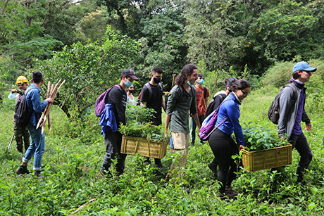 La mayoría de asistentes a la jornada de siembra fueron estudiantes de pregrado. Foto: Unimedios.