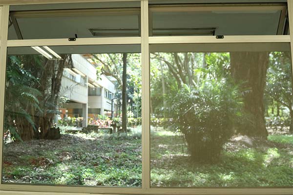 Para mejorar la recirculación del aire se reemplazaron, en ventanas, vidrios por mallas (que en la imagen se perciben más opacas). Foto: Unimedios.