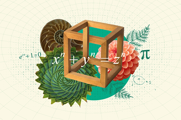 Ciencias de la Computación de la UNAL Medellín tiene base en los fundamentos matemáticos. Foto de ciencias.medellin.unal.edu.co.