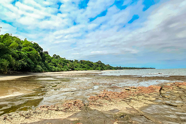 Costa gabonesa cerca de la ciudad de Cocobeach. Materias del precámbrico correspondientes al basamento arcaico del cratón de Gabon. Foto cortesía de Juan Carlos Loaiza Úsuga.