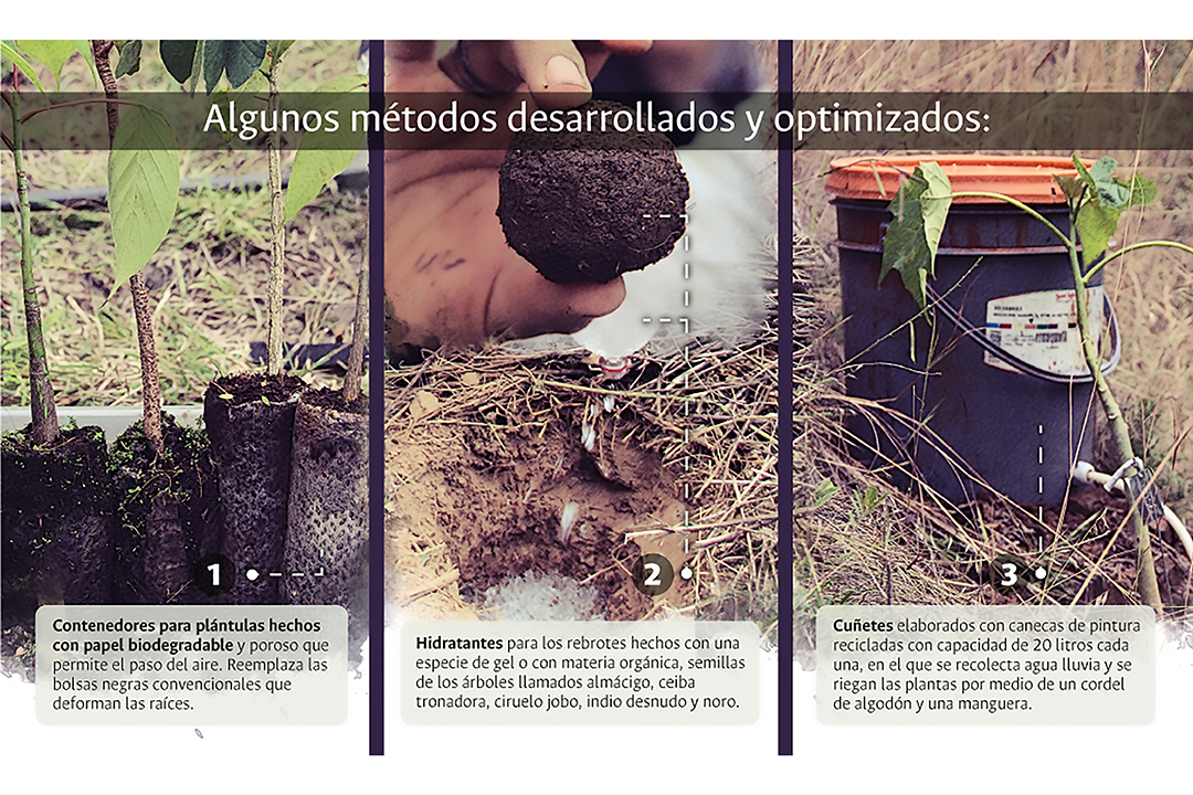 Métodos desarrollados y optimizados