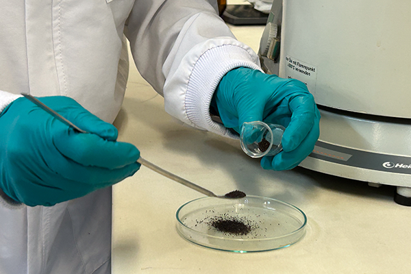 El xerogel de carbón micro-macroporoso funcionalizado con grupos catiónicos e inmovilizado con Pseudomonas aeruginosa tiene la apariencia de un polvo. Foto de Unimedios.