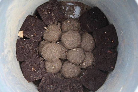 La utilización de materia orgánica con semillas es uno de los ensayos para definir los métodos de restauración más apropiados.
